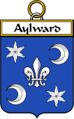 Irish Badge for Aylward