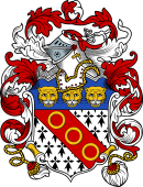 English or Welsh Coat of Arms for Adison (Addison)