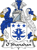Irish Coat of Arms for O'Shanahan or Shannon