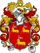 English or Welsh Coat of Arms for Rowe