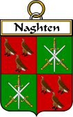 Irish Badge for Naghten or O'Naghten