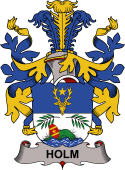 Coat of arms used by the Danish family Holm or Holmskiold