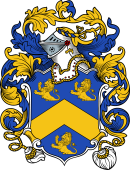 English or Welsh Coat of Arms for Hammes (Ref Berry)