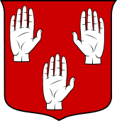 Italian Family Shield for Mainardi