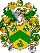 English or Welsh Coat of Arms for Joy (Benefield, Northamptonshire)