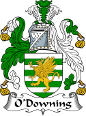 Irish Coat of Arms for O'Downing