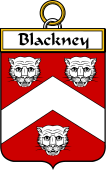 Irish Badge for Blackney