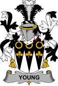 Irish Coat of Arms for Young