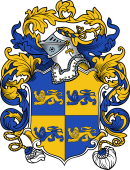 English or Welsh Coat of Arms for Griffyn