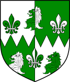 Irish Family Shield for Weldon (Meath)