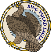 Birds of Prey Clipart image: Ring Tailed Eagle-M