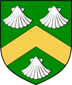 Irish Family Shield for Levinge or Levens (Westmeath)