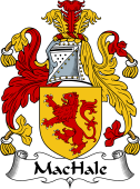 Irish Coat of Arms for MacHale or MacEli