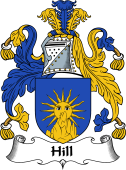 Scottish Coat of Arms for Hill