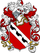 English or Welsh Coat of Arms for Quinton
