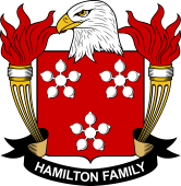 Coat of arms used by the Hamilton family in the United States of America