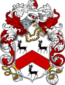 English or Welsh Coat of Arms for Lever (Lancashire)