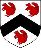 English Family Shield for Littler