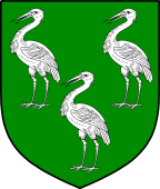 Irish Family Shield for Aherne or O'Heron