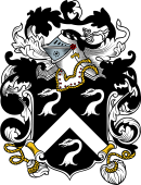 English or Welsh Coat of Arms for Squire