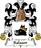 Coat of Arms from France for Salaun