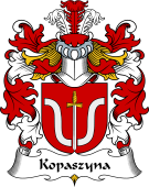 Polish Coat of Arms for Kopaszyna