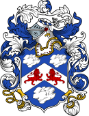 English or Welsh Coat of Arms for Flint (Norwich)