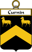 Irish Badge for Curnin or O'Curneen