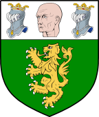 Irish Family Shield for O'Mulledy or O'Neady