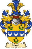 English Coat of Arms (v.23) for the family Hasel