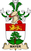 Republic of Austria Coat of Arms for Mayer (de Tenneburg)