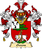 Irish Family Coat of Arms (v.25) Owens