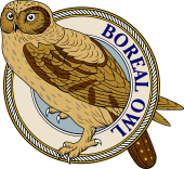 Birds of Prey Clipart image: Tengmalm's or Boreal OwL-M