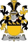 Irish Coat of Arms for Owgan
