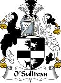 Irish Coat of Arms for O'Sullivan (Beare)