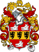 English or Welsh Coat of Arms for Wyatt