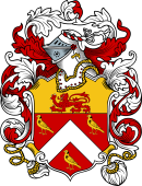 English or Welsh Coat of Arms for Goldsmith (or Gouldsmith-Kent)