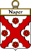 Irish Badge for Naper or Napper