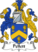 English Coat of Arms for Pellett