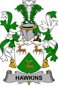 Irish Coat of Arms for Hawkins or Haughan