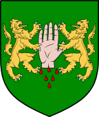 Irish Family Shield for O'Reilly or Riley