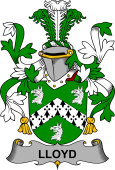 Irish Coat of Arms for Lloyd