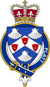 Families of Britain Coat of Arms Badge for: Platt (England)