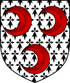 English Family Shield for Symes