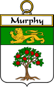 Irish Badge for Murphy (Wexford)