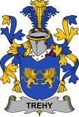 Irish Coat of Arms for Trehy or O'Trehy