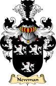 English Coat of Arms (v.23) for the family Newman