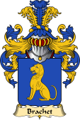 French Family Coat of Arms (v.23) for Brachet