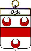 Irish Badge for Ogle