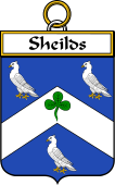Irish Badge for Sheilds
